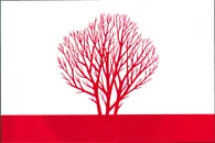 Flagge von Rajon Sîngerei