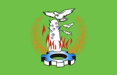 Флаг: Минуфия