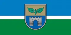 Flag of Salaspils Municipality