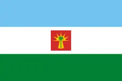 Флаг: Баринас