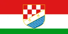 Drapeau : canton de la Posavina