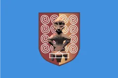 Флаг: Priština