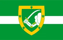 Флаг: Valga