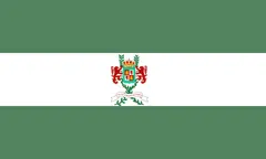 Флаг: Департамент Масая