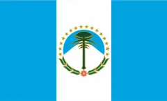 Flagge von Neuquén