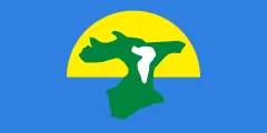 Flagge von Chathaminseln