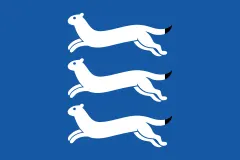 Флаг: Южная Остроботния
