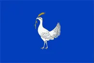 Flagge von Rajon Drochia