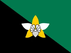 Flagge von Enga Province