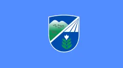 علم Vrapčište Municipality