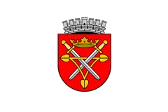 Flag of Sibiu County