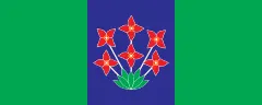 Flagge von Šalovci