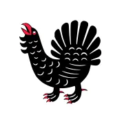Флаг: Центральная Финляндия