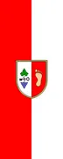 Flagge von Gemeinde Mokronog-Trebelno