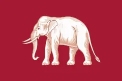 Флаг: Таиланд (1855–1916)