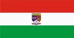 Flag of Ñeembucú Department