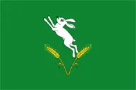 Flagge von Rajon Șoldănești