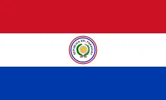 Flag of Paraguay (1988–1990)
