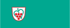 Flagge von Gemeinde Semič