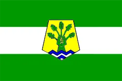 Флаг: Бен-Слиман
