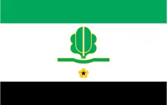 Флаг: Kohila
