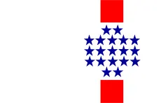Flag of Central Department