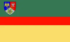 Flag of Vrancea County