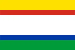Flag of Misiones Department