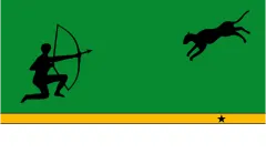 Флаг: Амасонас