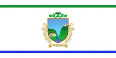 Флаг: Петница