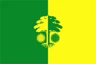 Flagge von Rajon Strășeni