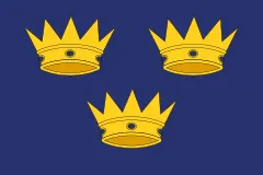 Флаг: Манстер