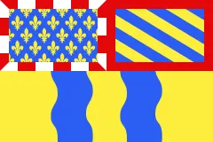 Флаг: Сона и Луара