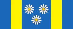 Flagge von Velika Polana