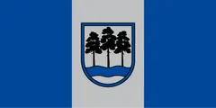 Flag of Ogre Municipality