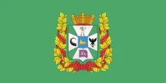 Flag of Gomel Region
