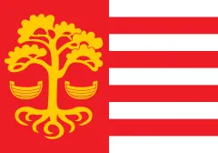 Флаг: Loksa