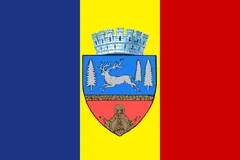 Flag of Bacău County