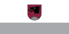 Flag of Balvi Municipality