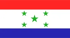 Flag of Caaguazú Department