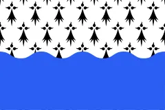 Флаг: Морбиан