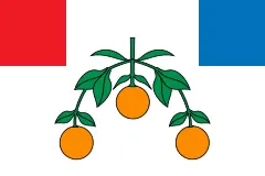 Флаг: Лия