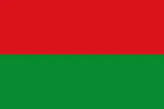 Флаг: Боливар