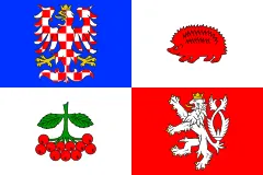 Flagge von Kraj Vysočina