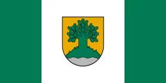 Flag of Valmiera Municipality