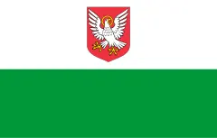 Флаг: Ляэнемаа