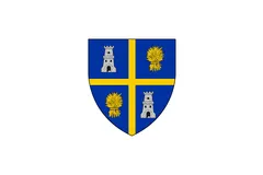 Flag of Olt County