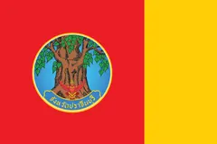 Флаг: Прачинбури