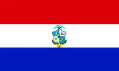 Drapeau : San Miguel