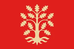Flag of Agder